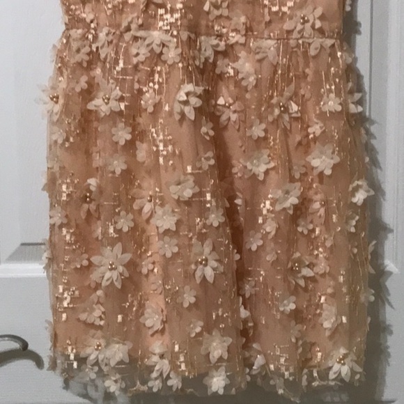 Lulus Feeling Flirty Floral Mini Skater Dress in Blush Pink - Picture 11 of 13